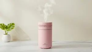 H₂O Humidifier